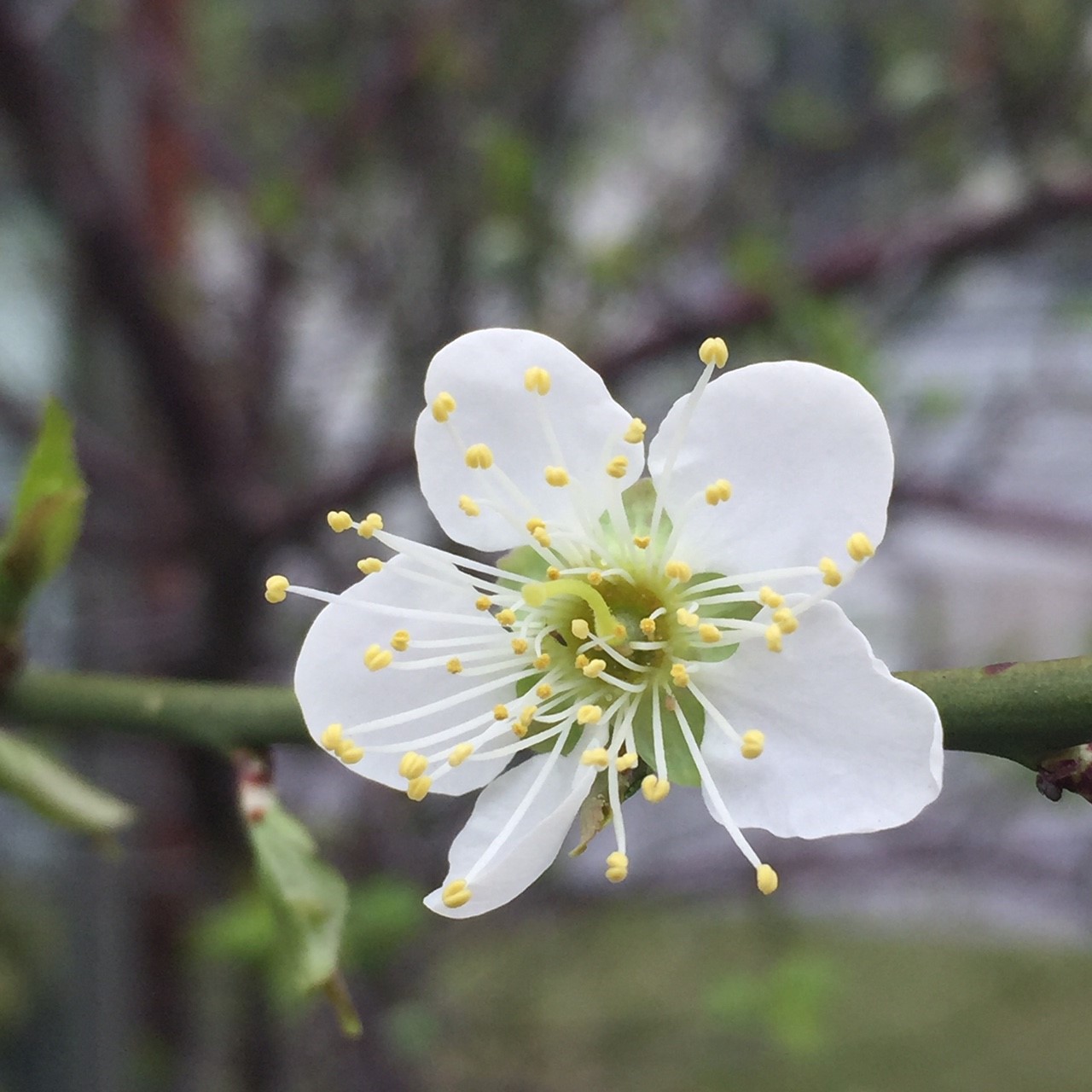 20170302_170303_0022