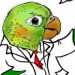 dr.bird鳥博士